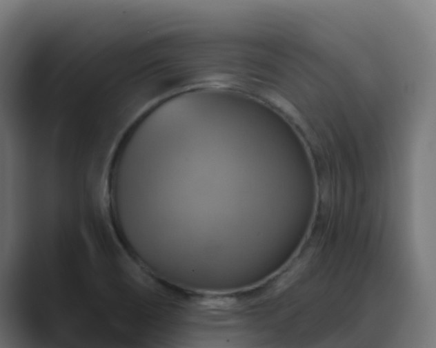 X0000089721466200706281522