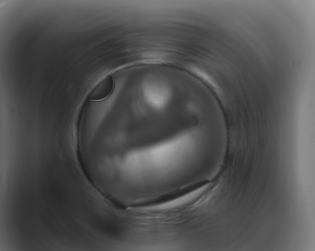 X0000089721467200706281522