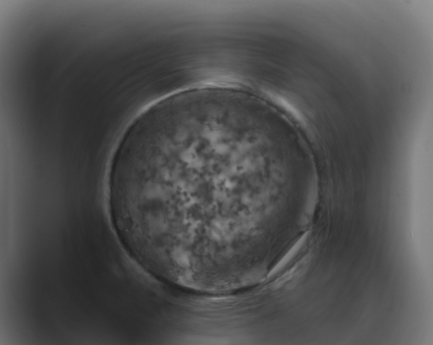 X0000089721471200706281522