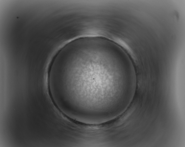X0000089721472200706281522