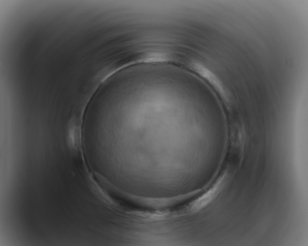 X0000089721473200706281522
