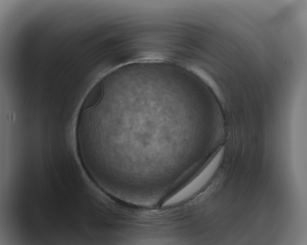 X0000089721475200706281522