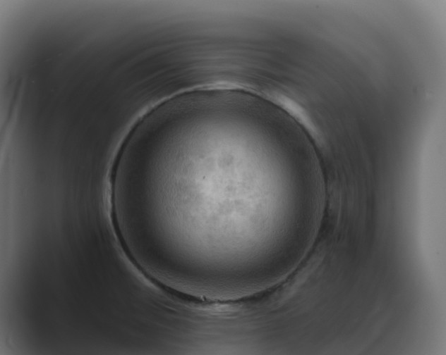 X0000089721476200706281522