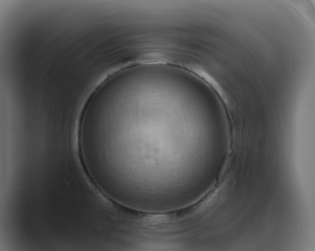 X0000089721477200706281522