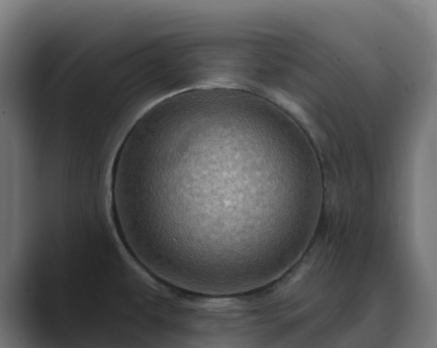 X0000089721479200706281522