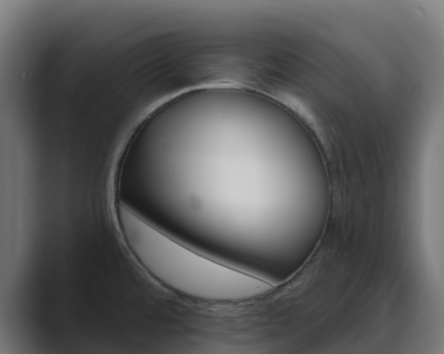X0000089721480200706281522