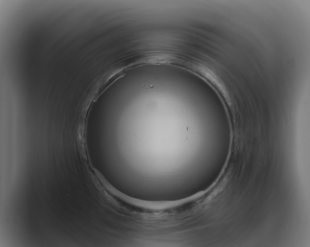 X0000089721481200706281522