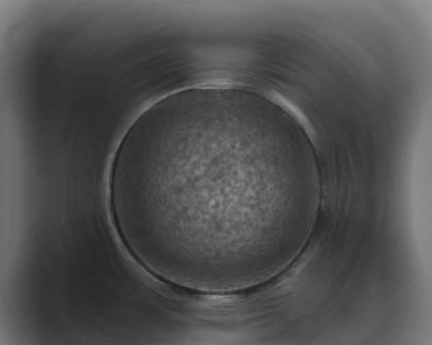 X0000089721483200706281522