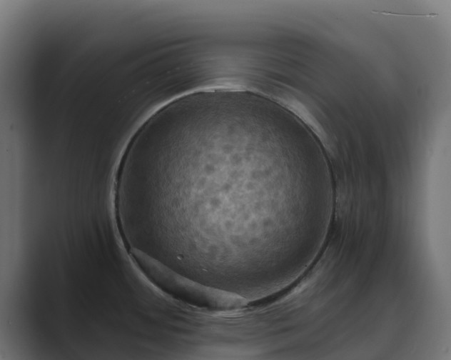 X0000089721484200706281522
