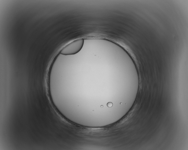 X0000089721486200706281522