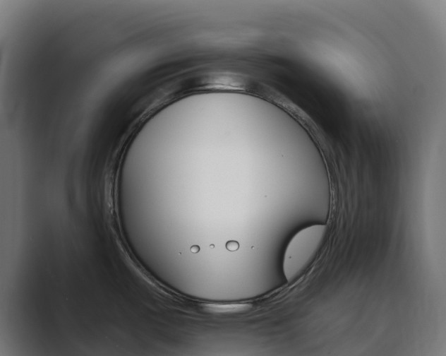 X0000089721487200706281522
