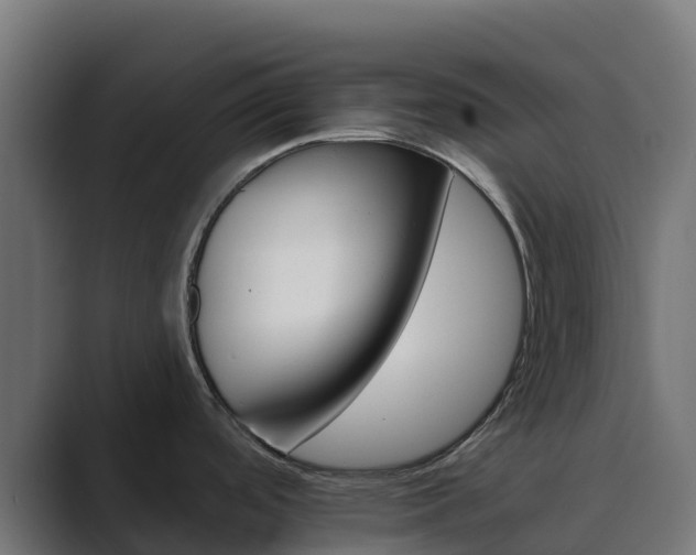 X0000089721488200706281521