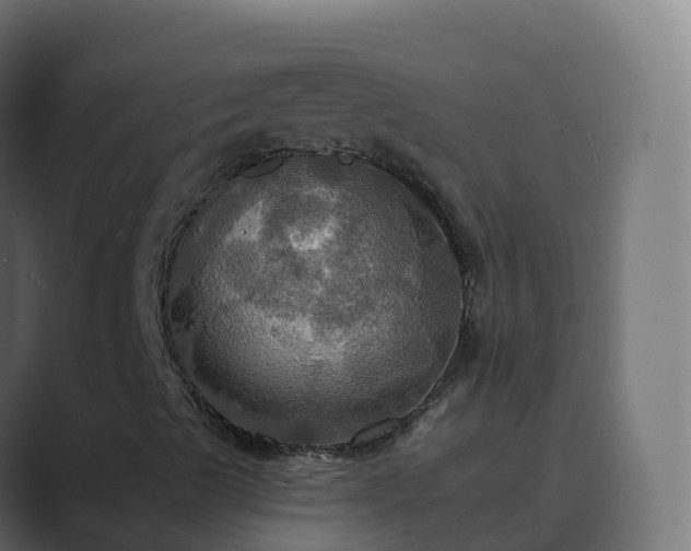 X0000089721489200706281521