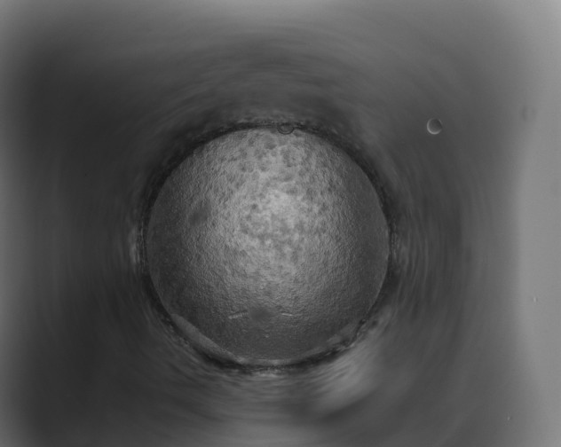 X0000089721490200706281521
