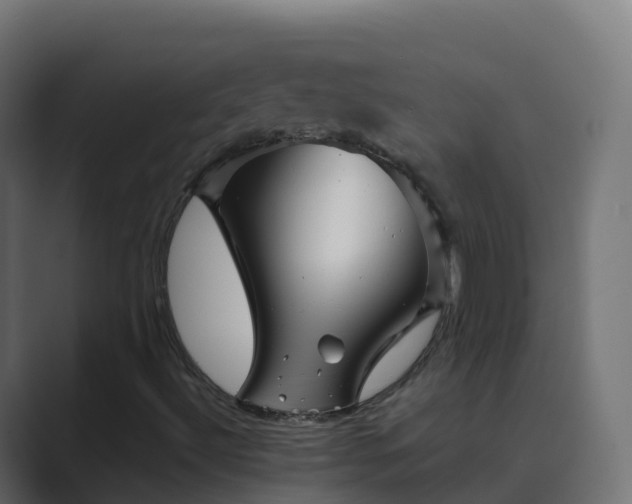 X0000089721492200706281521