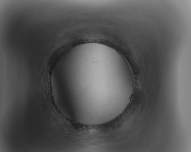 X0000089721493200706281521