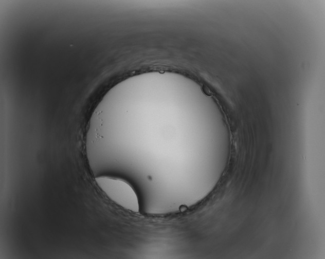 X0000089721495200706281521