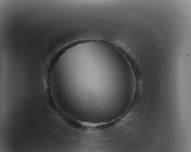 X0000089721496200706281521