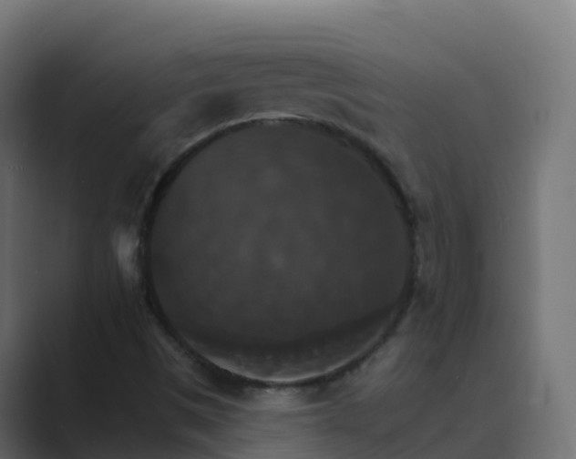 X0000089721497200706281521