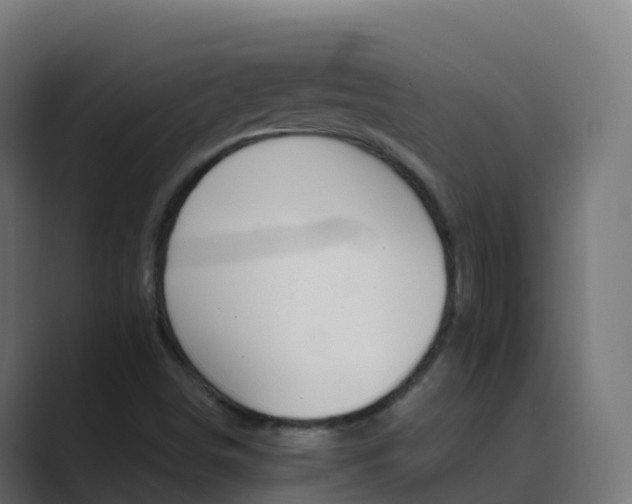 X0000089721498200706281521