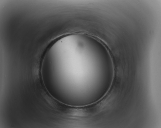 X0000089721499200706281521