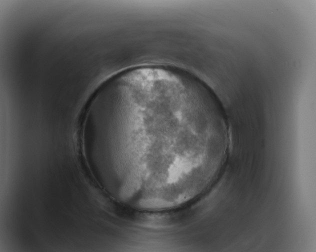 X0000089721501200706281521