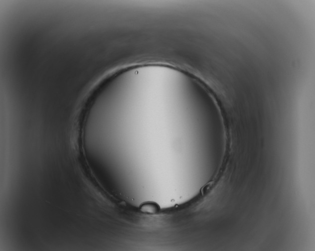 X0000089721502200706281521