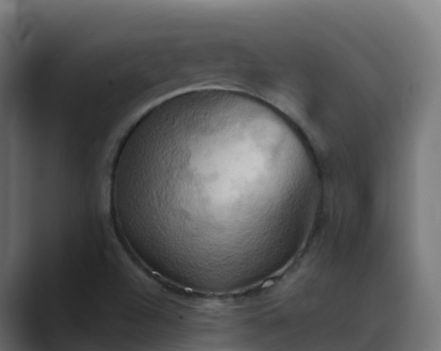 X0000089721504200706281521