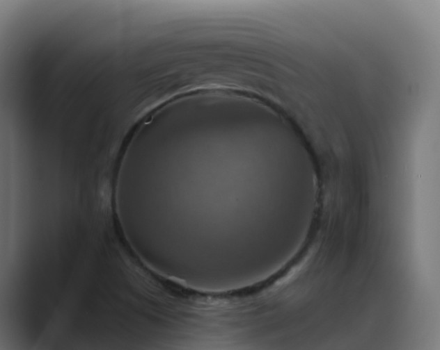 X0000089721505200706281521