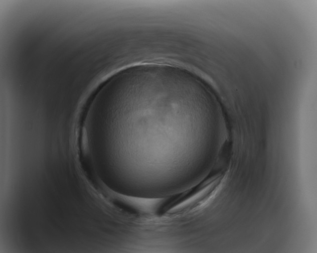 X0000089721506200706281521