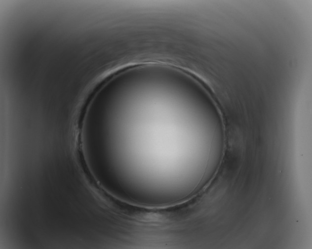 X0000089721507200706281521