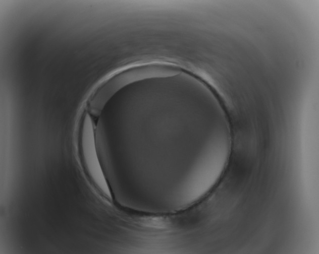 X0000089721508200706281521