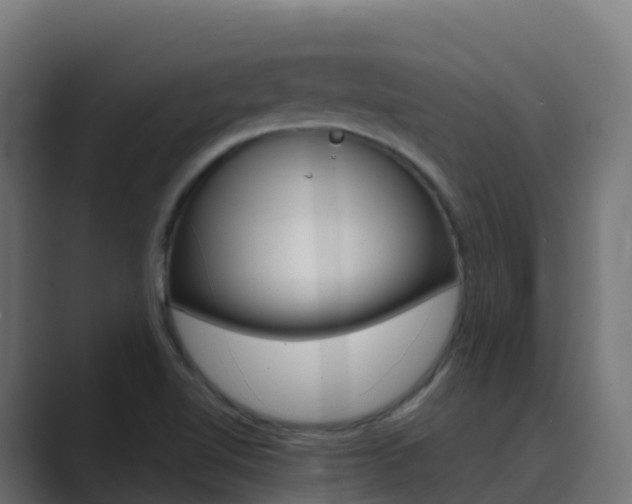 X0000089721510200706281521