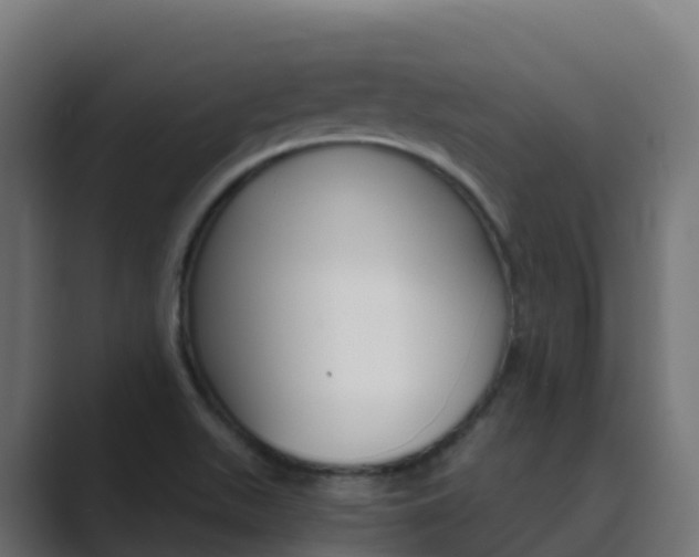 X0000089721511200706281521