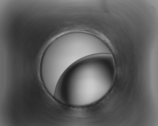 X0000089721512200706281521