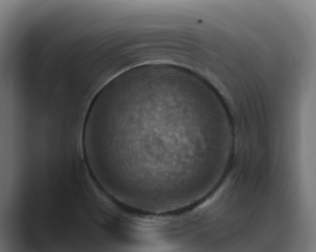 X0000089721513200706281521