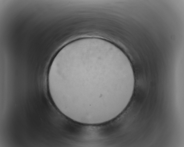 X0000089721514200706281521