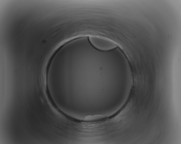 X0000089721515200706281521