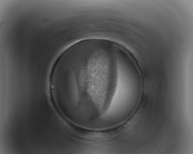 X0000089721517200706281521