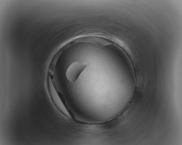 X0000089721520200706281521