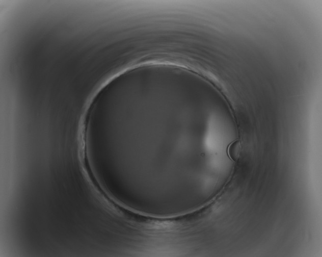 X0000089721522200706281521