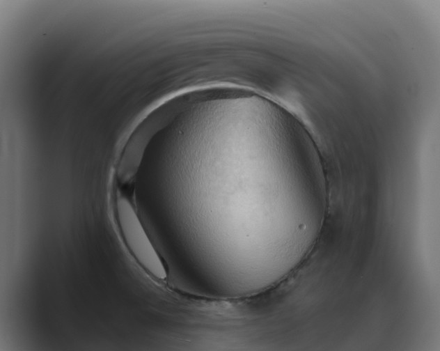 X0000089721524200706281521