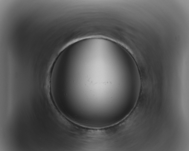 X0000089721526200706281521