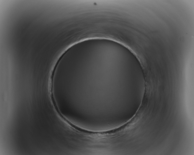 X0000089721527200706281521