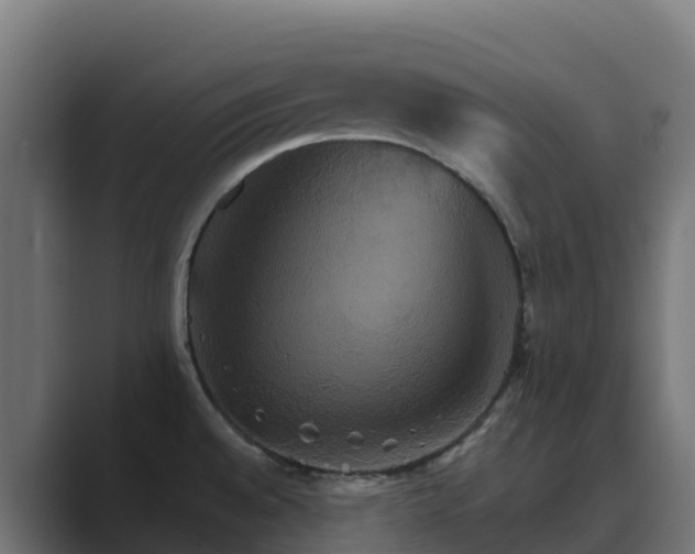 X0000089721528200706281521