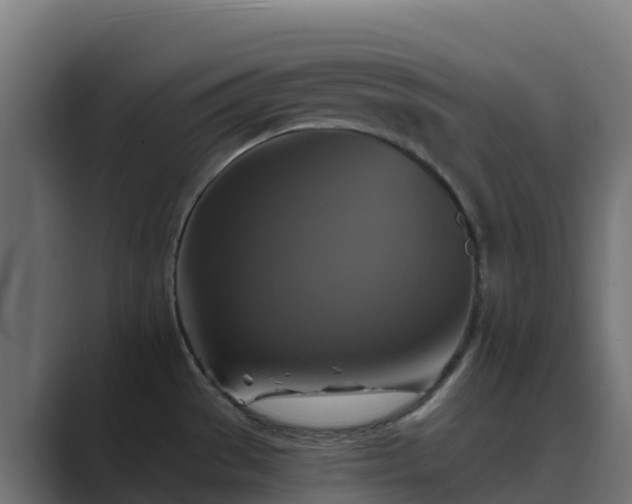 X0000089721529200706281521