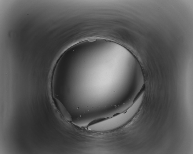 X0000089721530200706281521