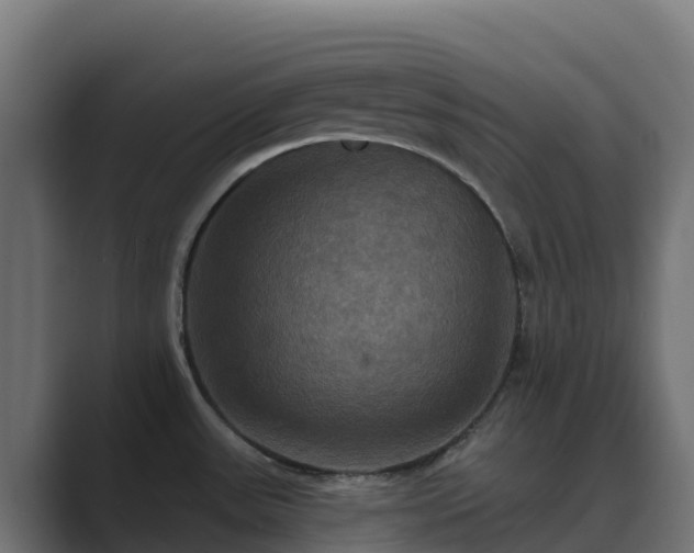 X0000089721531200706281521