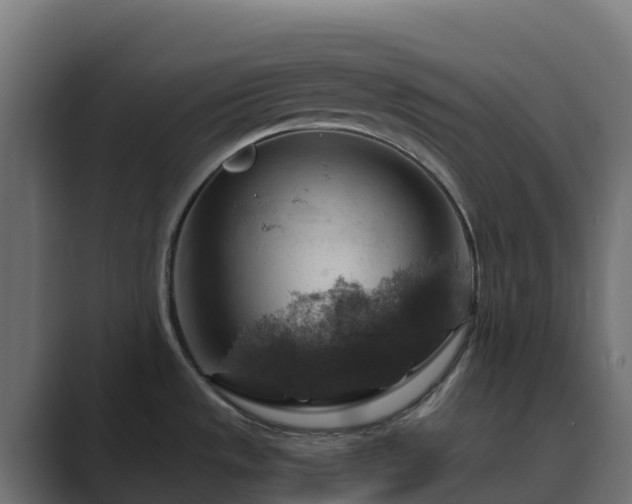 X0000089721533200706281521