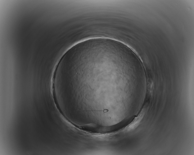 X0000089721535200706281521